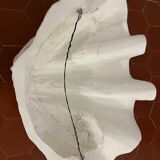Applique coquillage Axel Chay