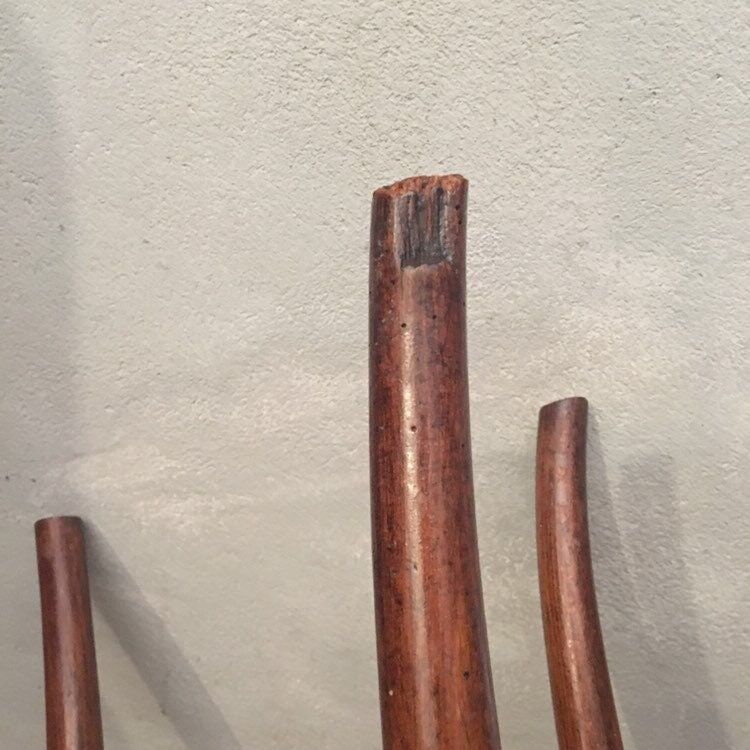 Antique Thonet chairs late 19th century Model 14