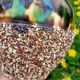 Contemporary ceramic vase decor