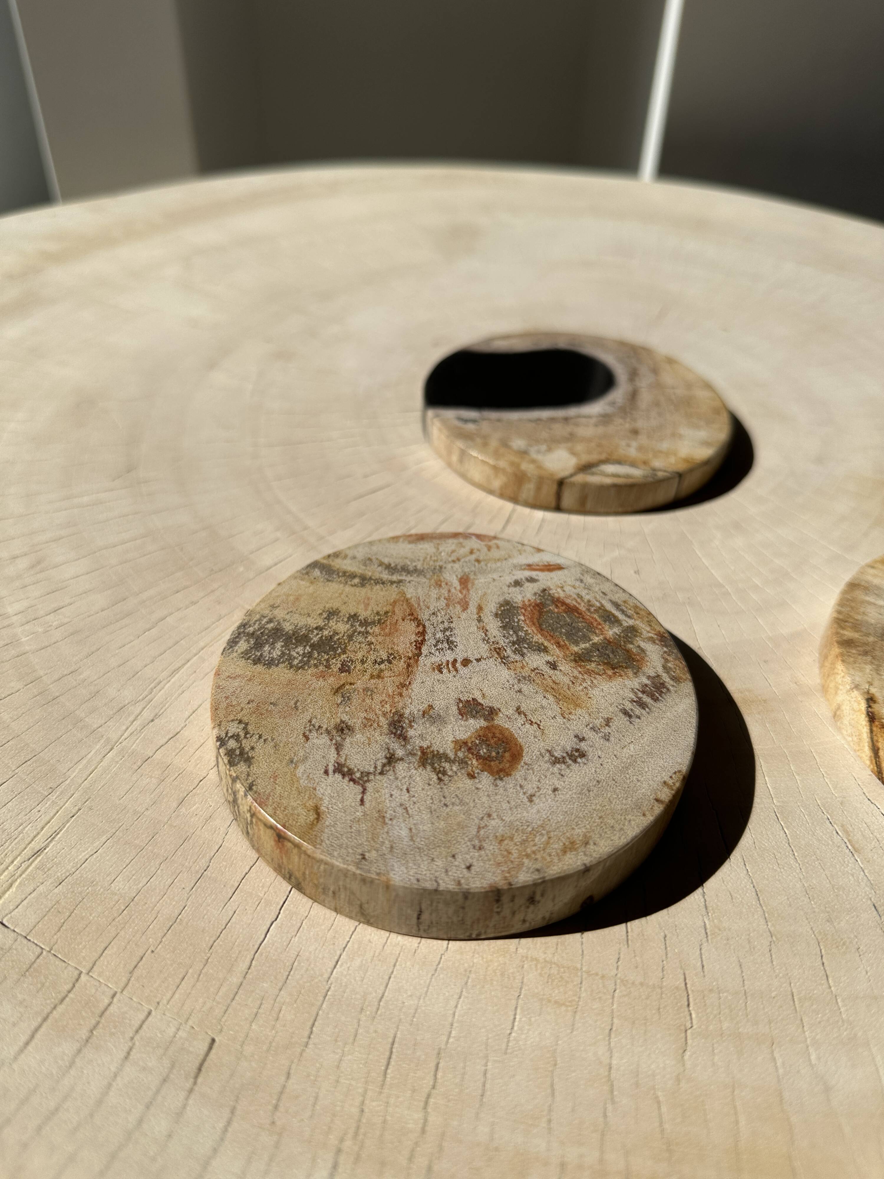 Set of 3 fossilized wood coasters (clear)