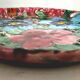 Vallauris plates
