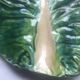 Unique cabbage leaf trinket tray