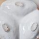 Anseed flower porcelain dish