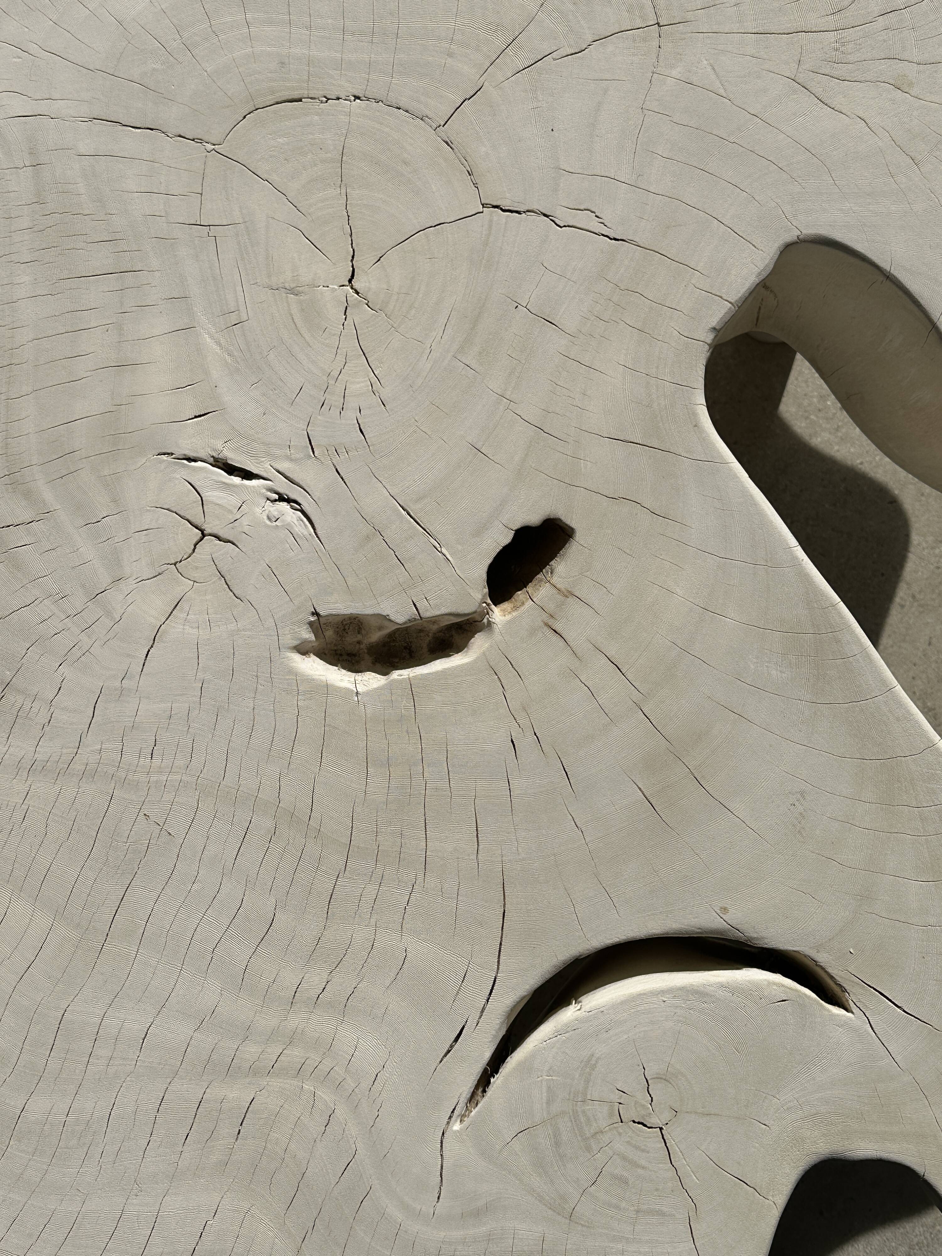 Very large whitewashed mango coffee table with an organic top D:140cm