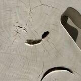 Very large whitewashed mango coffee table with an organic top D:140cm