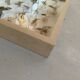 Butterfly frame stuffed under glass