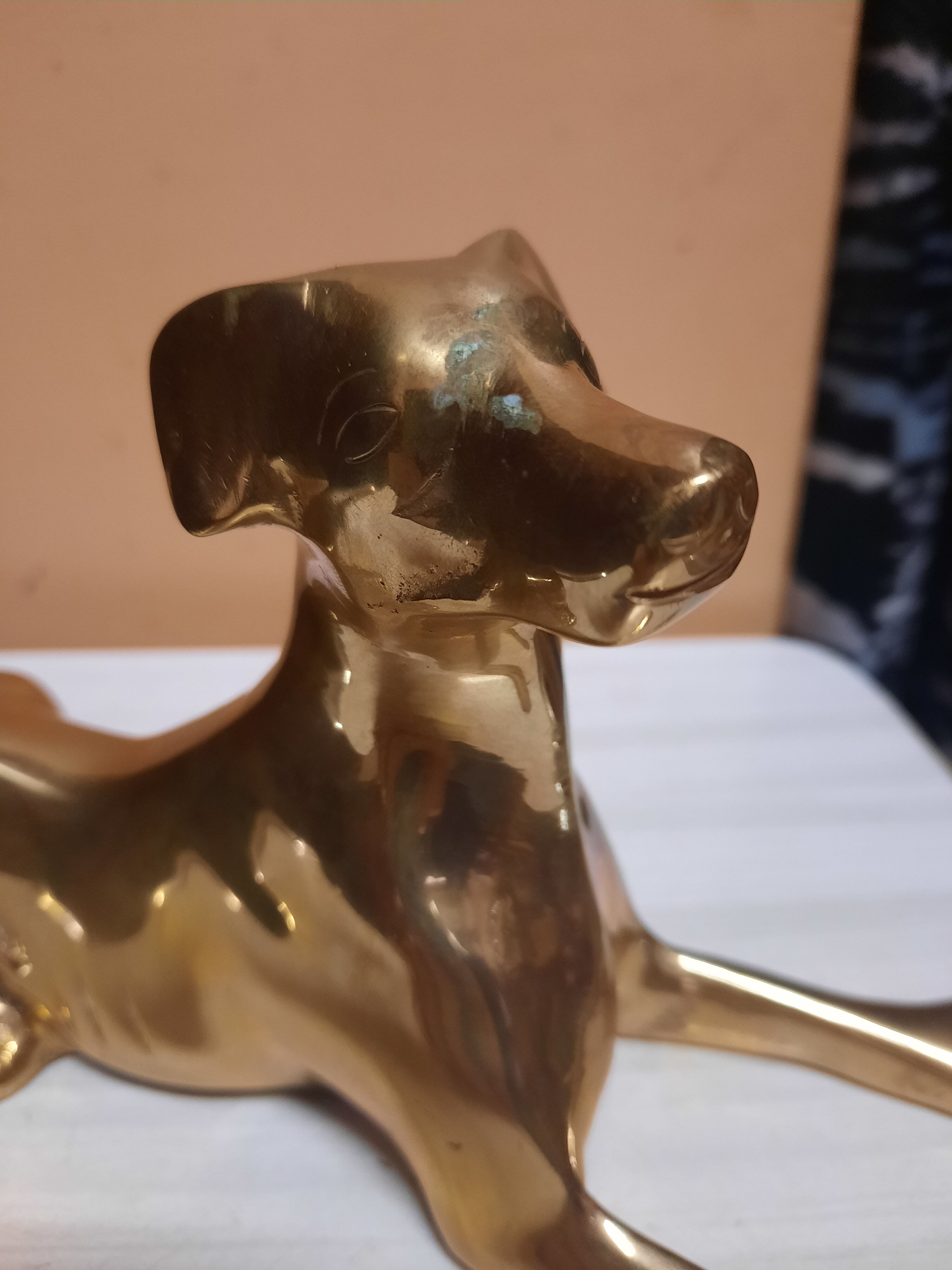 Brass dog