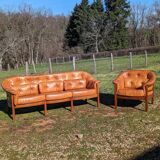 Arne Norell sofa and armchair