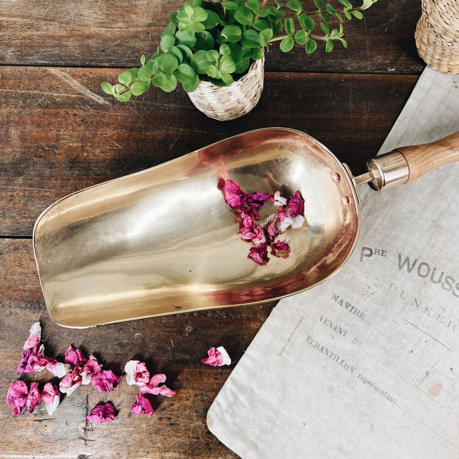 Large old brass grocery shovel