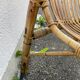 Rattan armchair