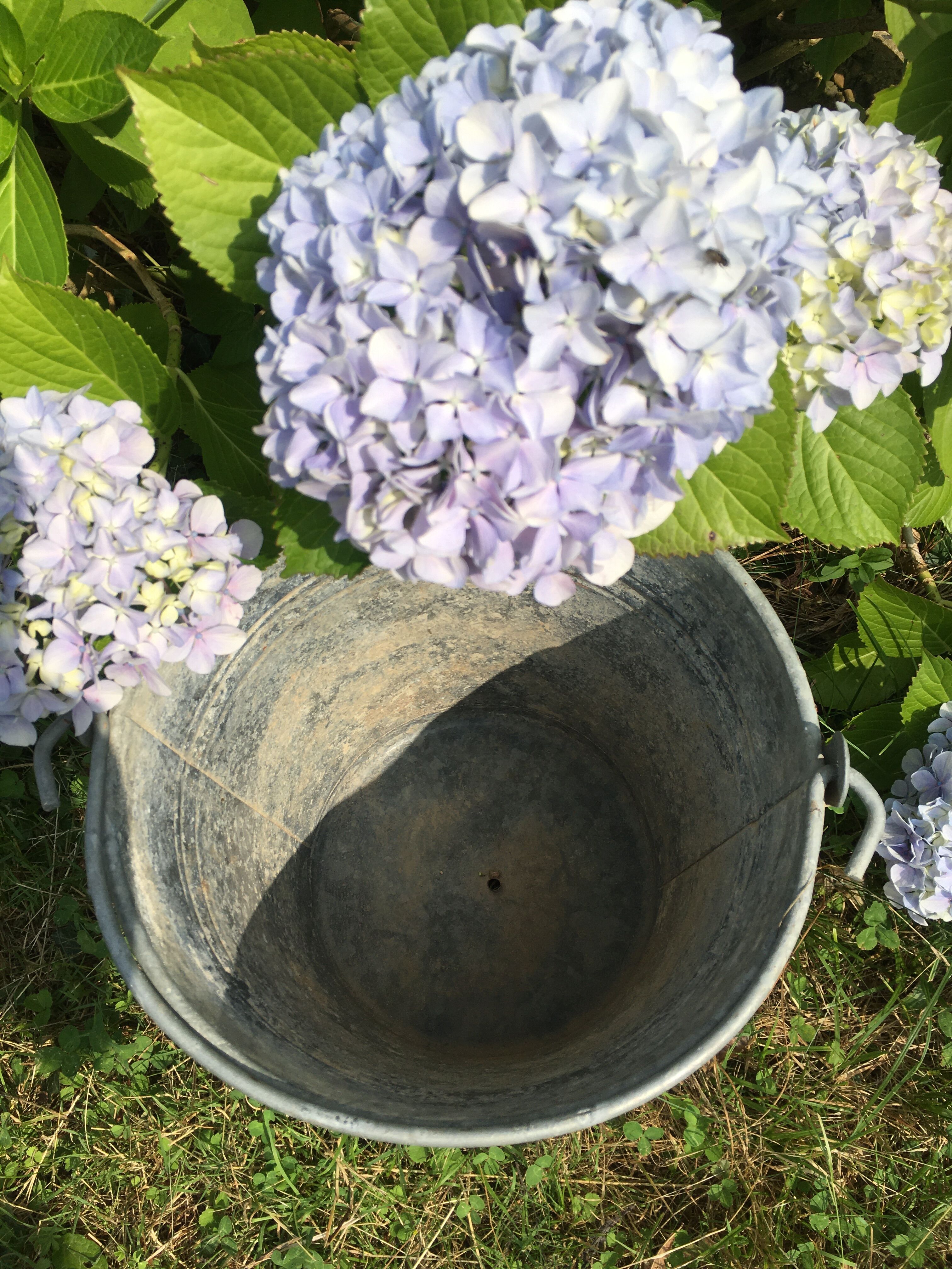 Old bucket in vintage zinc pot cache