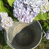 Old bucket in vintage zinc pot cache