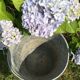 Old bucket in vintage zinc pot cache