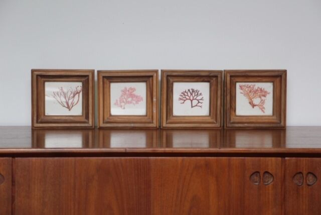 True alguier in walnut frame France 1960