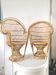 Pair of Emmanuelle armchairs for doll design 70s