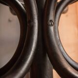 Parrot Thonet bentwood coatrack