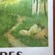 Original tourist poster "Alpes Chemin de Fer français" 62x100cm 1956