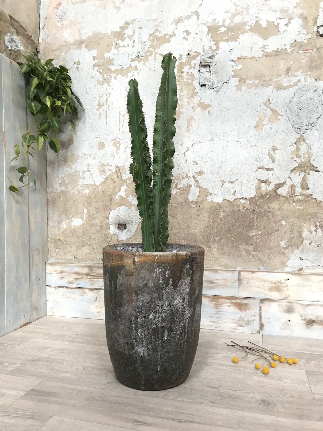 Gardener - foundry crucible