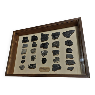 Fossils educational frame with collection of ammonites