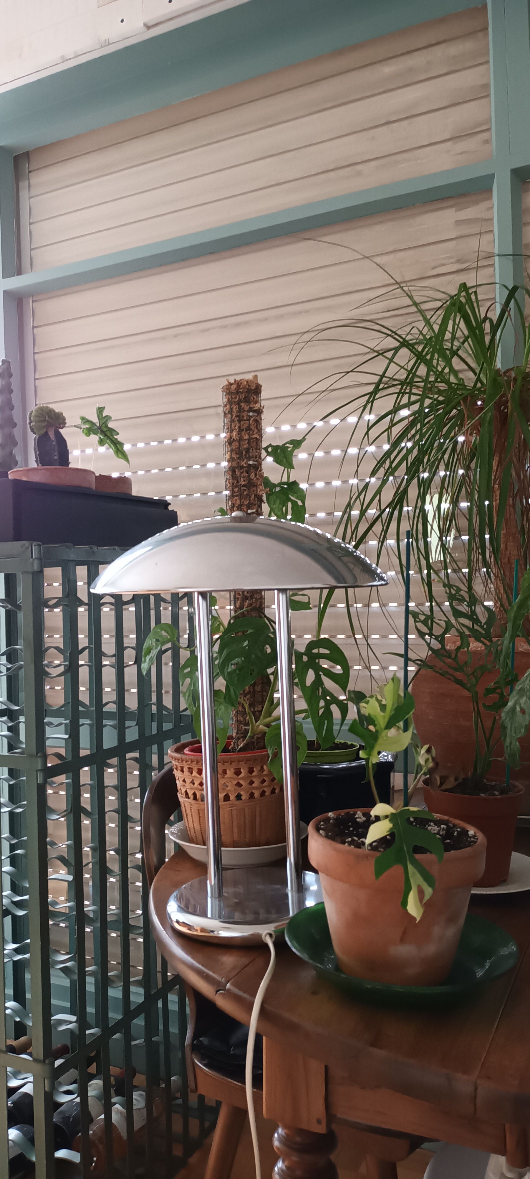 Vintage liner mushroom lamp