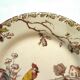 Polychrome plate Iron Earth signed Gien model Coqs