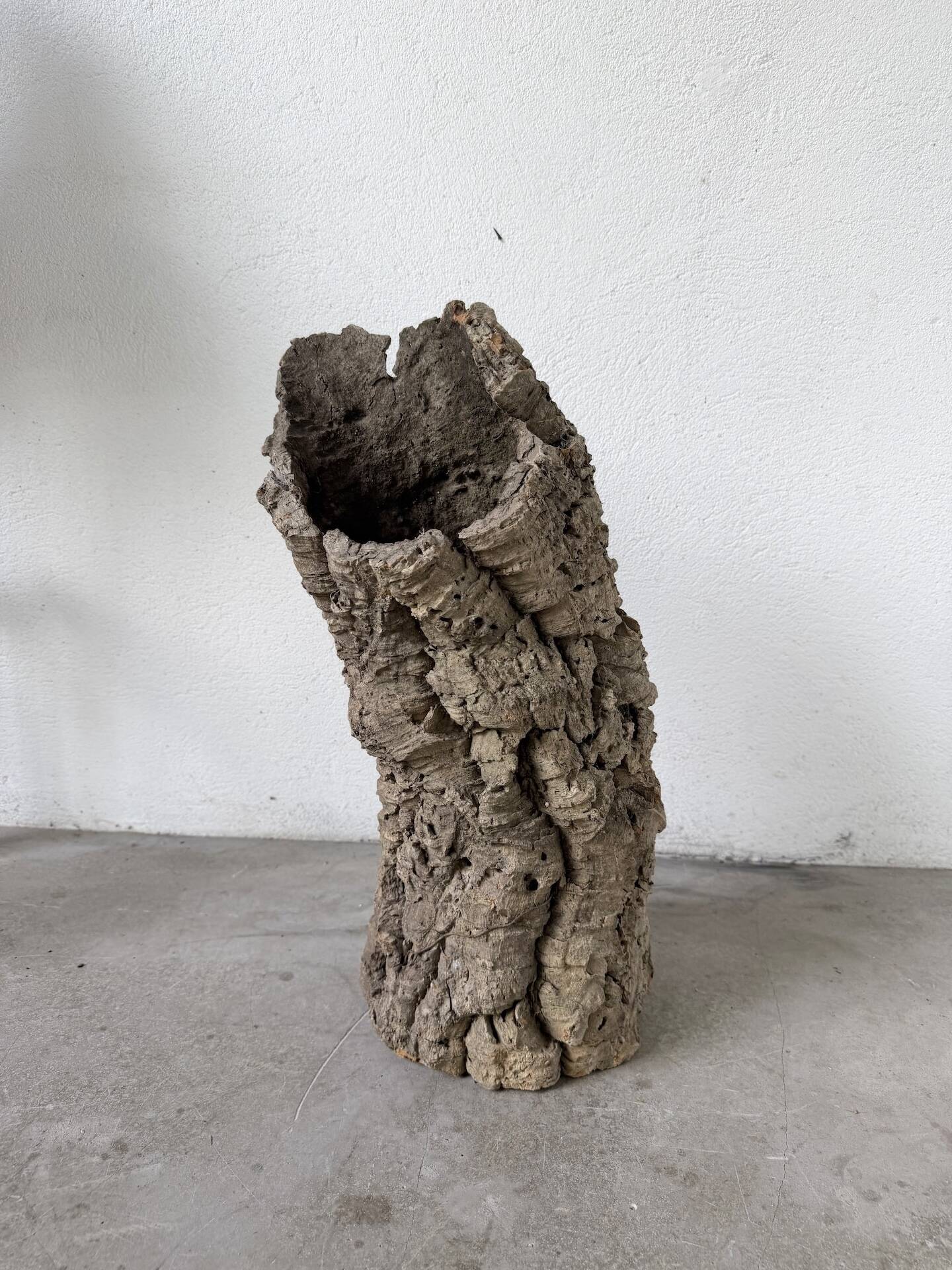XL cork bark vase