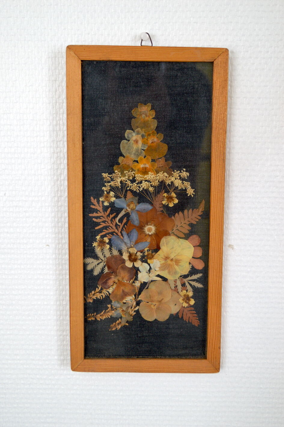 Frame dried flowers