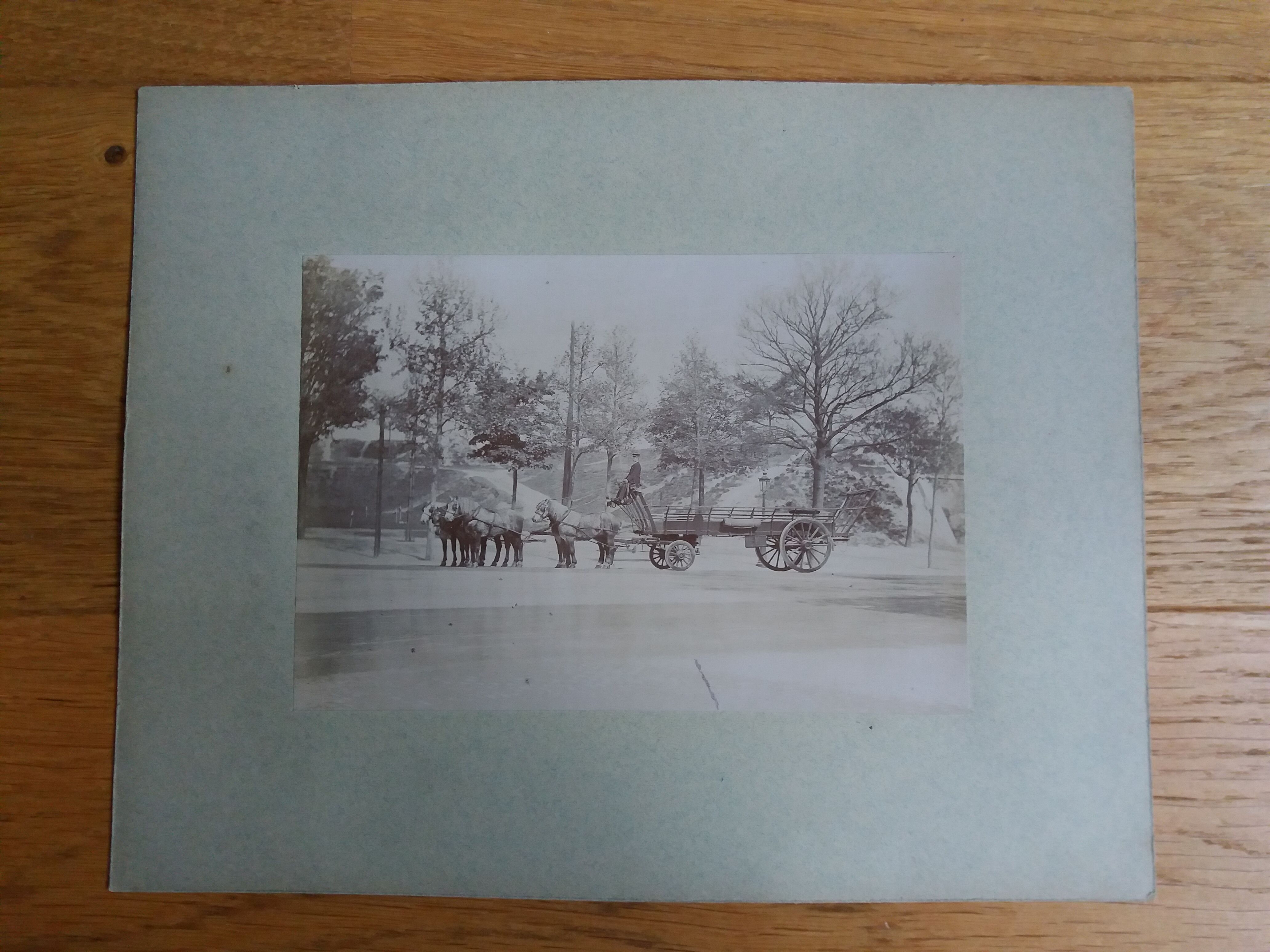 Old photograph 1900 cart, coachman and horses