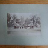 Old photograph 1900 cart, coachman and horses