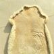 Carpet in Nature Skin Long-haired Sheepskin 132 cm x 80 cm x 9 cm thick