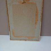 Old frame Rose bush with lettuce leaves PJ Redouté