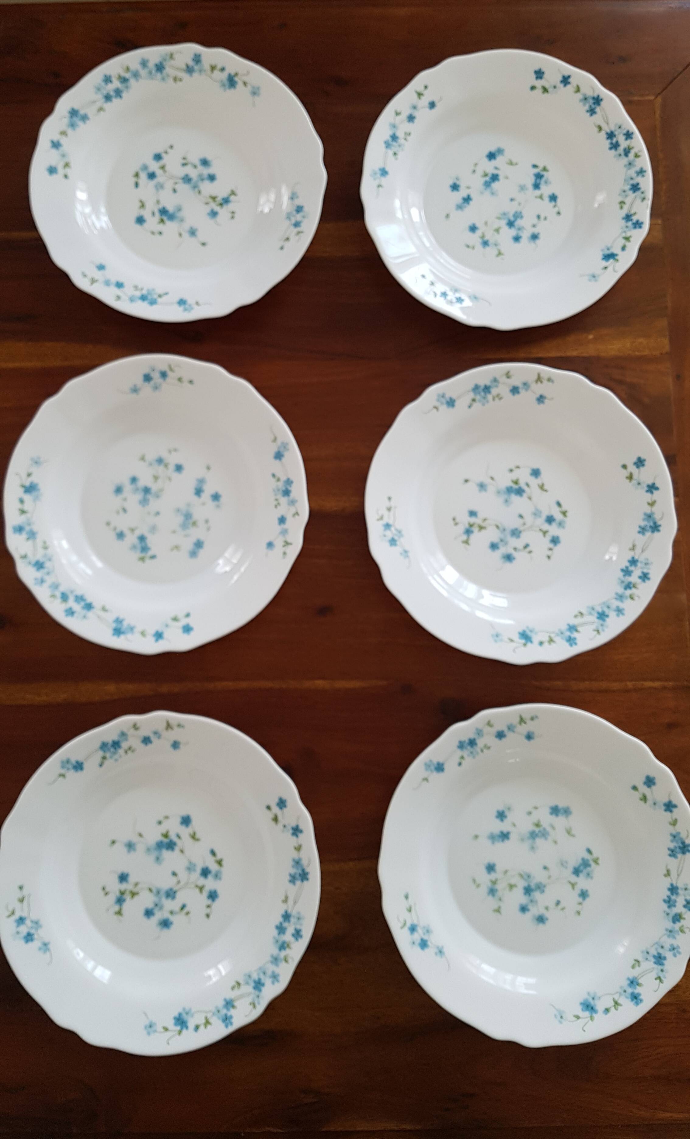 6 hollow plates arcopal myosotis veronica