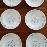 6 hollow plates arcopal myosotis veronica