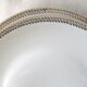 Set de 10 assiettes plates porcelaine de Limoges