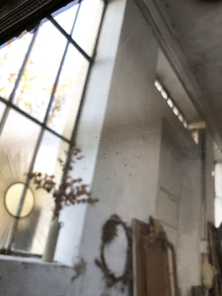 Mirror rosette Louis XVI 90x154cm