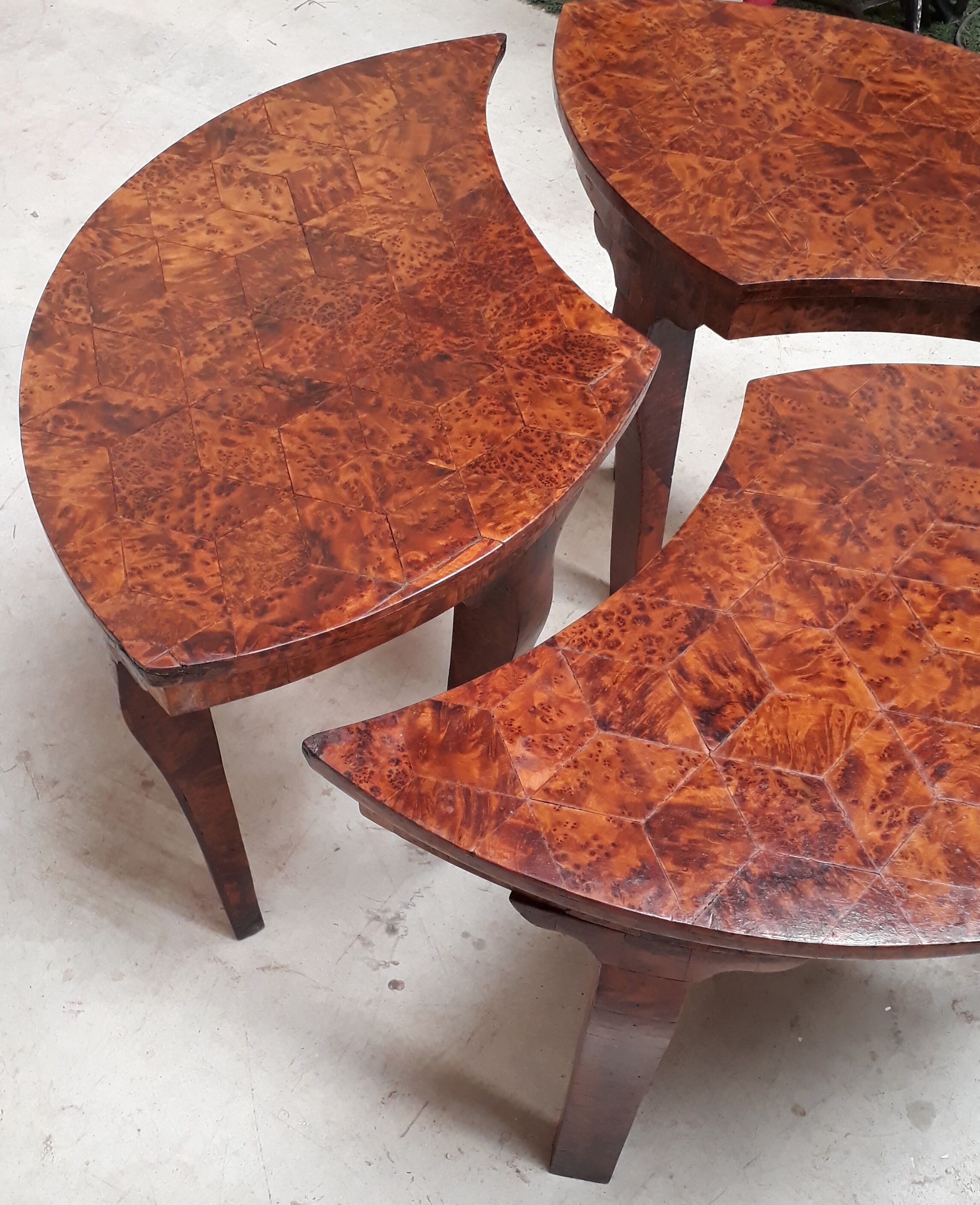 Coffee table in thuya magnifying glass 1960