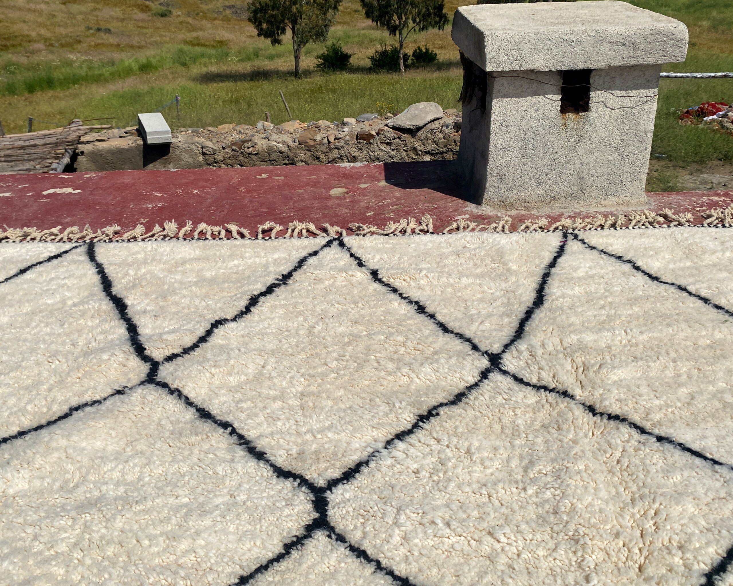 Very large vintage Beni Ouarain rug in cream wool with black diamonds, 426x344cm.