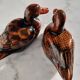 Couple of ducks