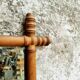 Antique mirror french wall mirror faux bamboo