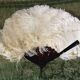 Fan scale ostrich feathers Napoleon III