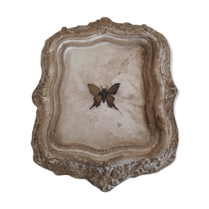Cadre papillon