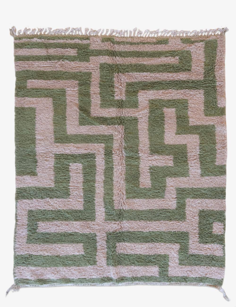 Tapis Contemporain Vert et Beige - 305 x 250 cm