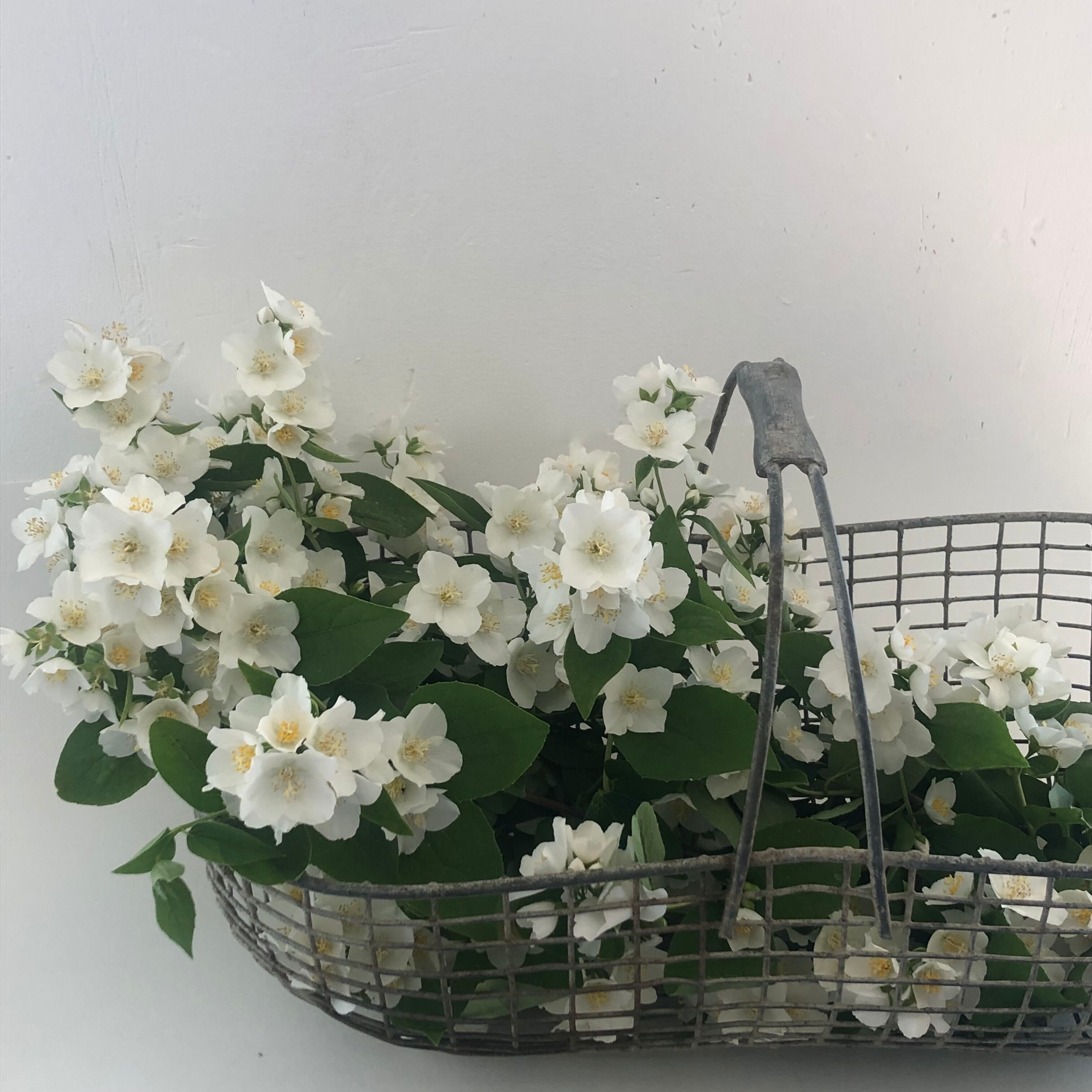 Metal garden basket