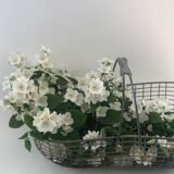 Metal garden basket