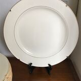 Iron Land Salins Plates