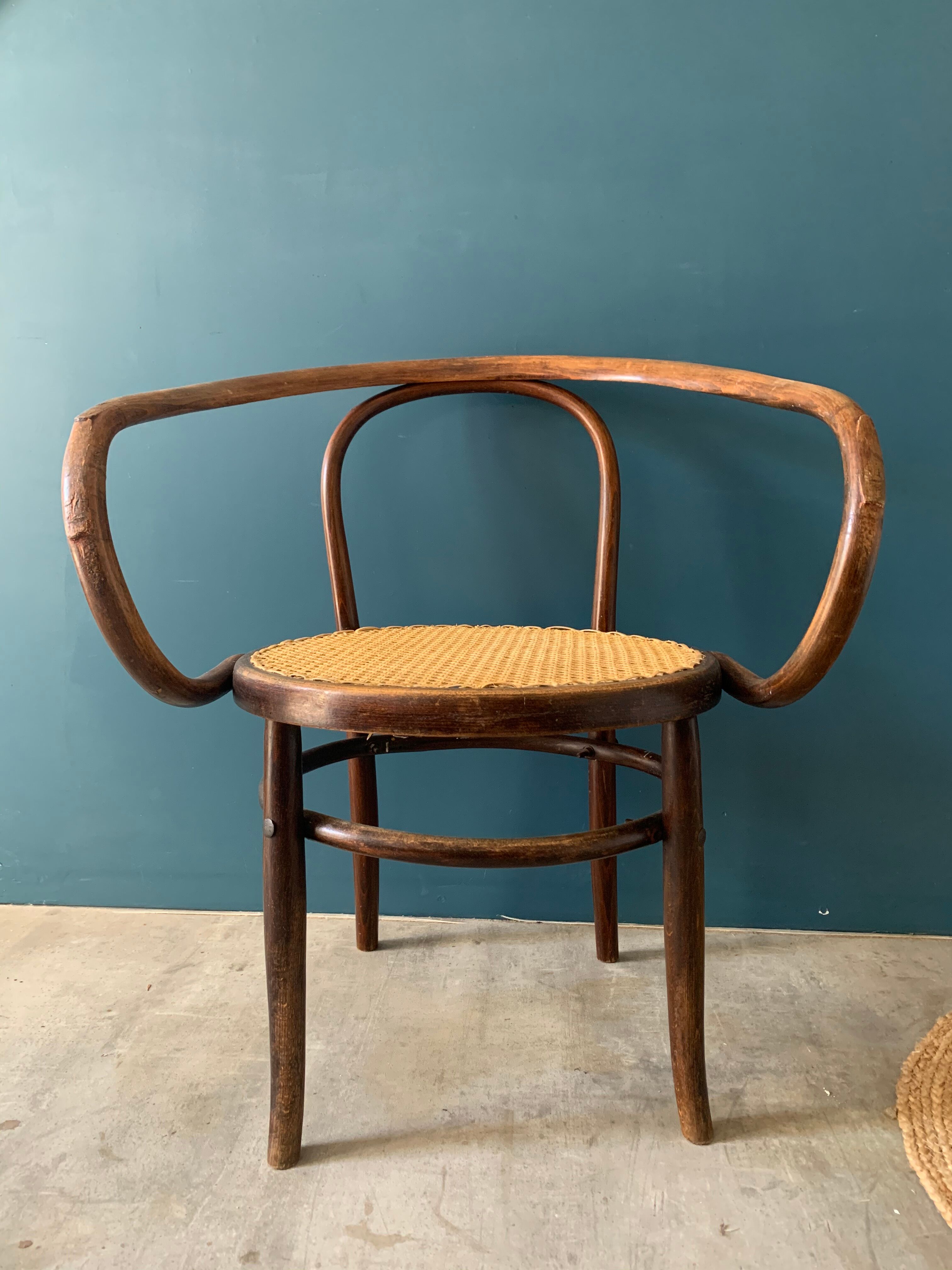 Mundus chair in curved wood