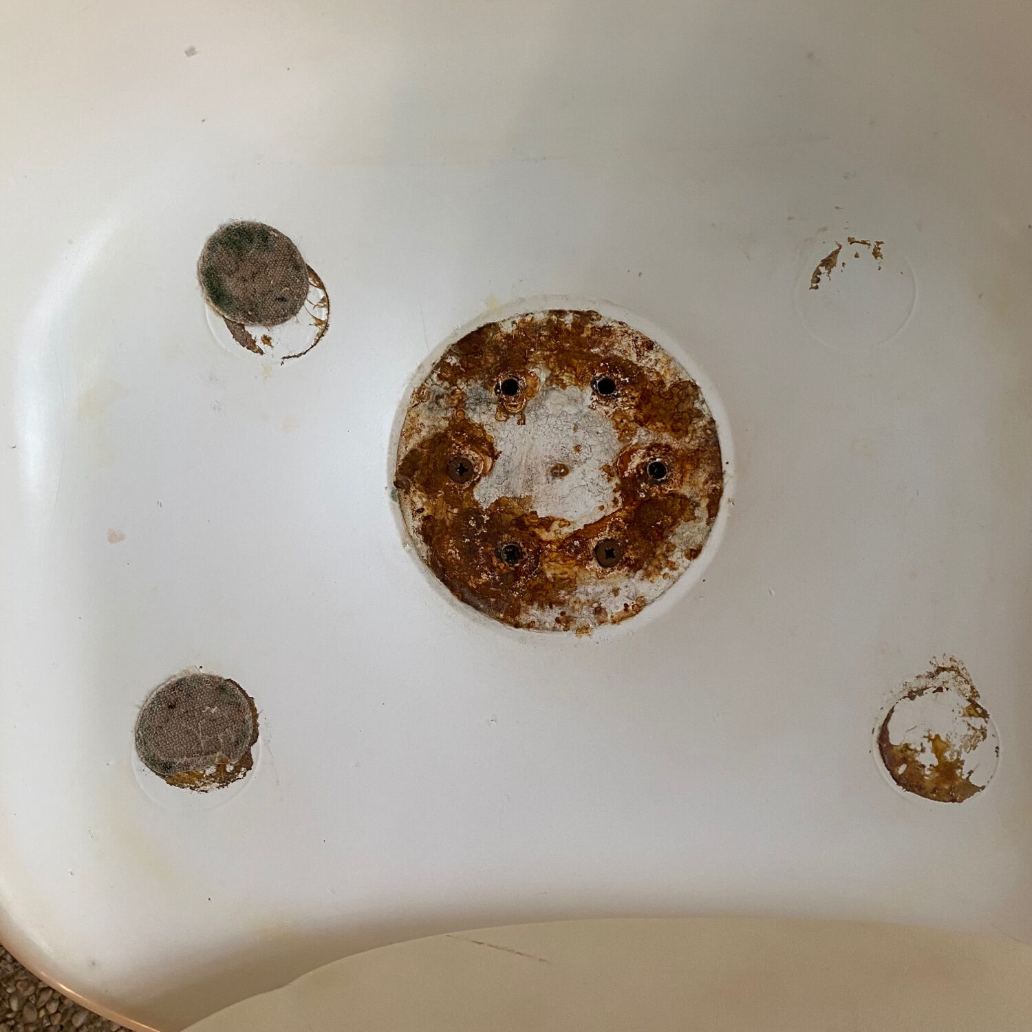 Tulip chair Saarinen