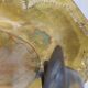 Pair of Dutch Sconces Repusse Brass Two Light Wall Moun