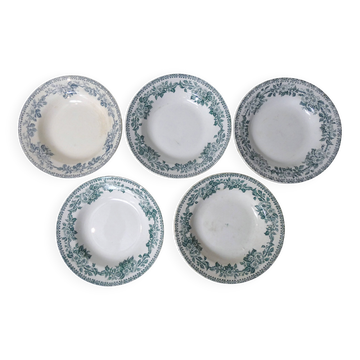 Terre de fer 5 assiettes creuses modèle fleurs eglantines guadeloupe