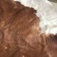 Vintage cowhide 225x170cm